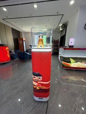 comprar Vitrina LED com temperatura controlada, com regulação precisa do clima e iluminação energética adequada para produtos sensíveis online manufacture